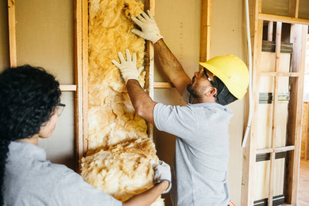 Best Commercial Insulation Services  in Mount Vernon, AL