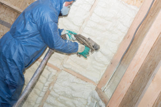 Best Blown-In Insulation  in Mount Vernon, AL